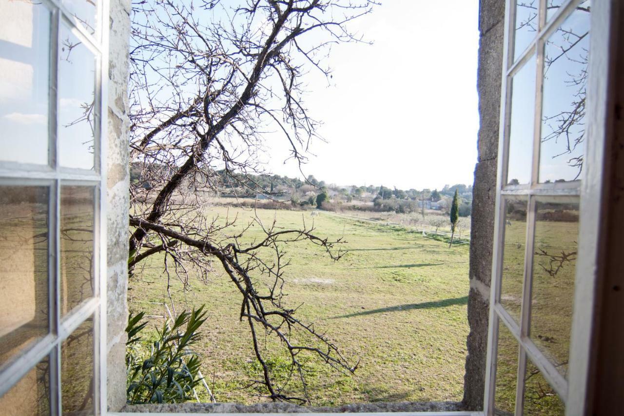 Mas De La Rivoire B&B Villevieille Ngoại thất bức ảnh